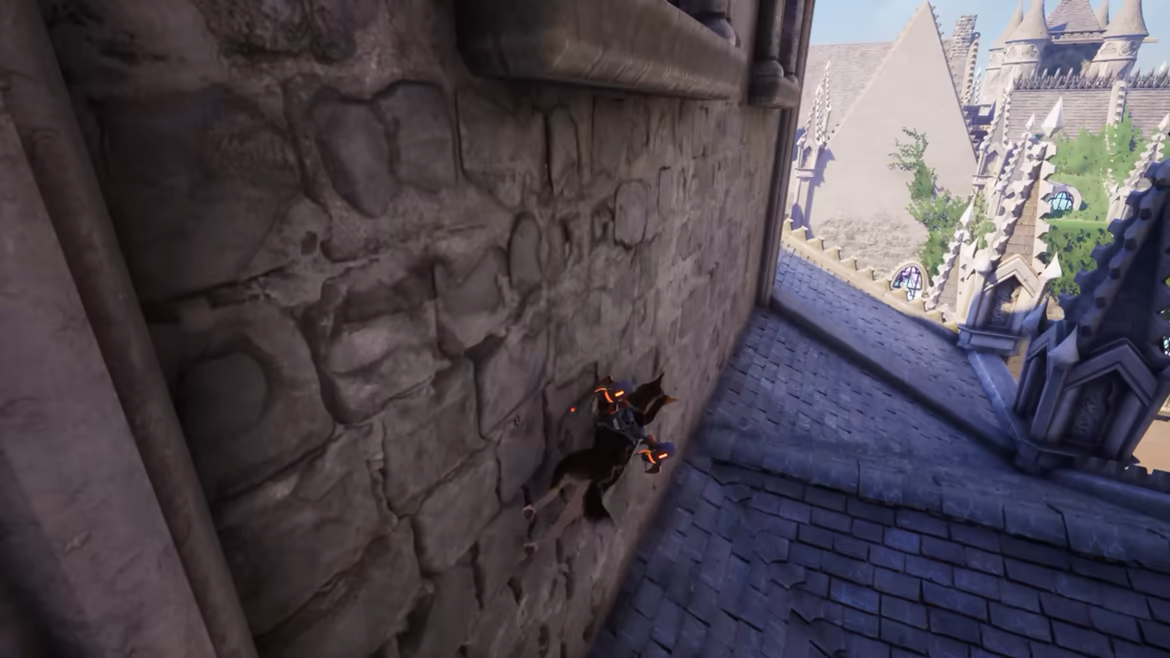 Barkour video 4
