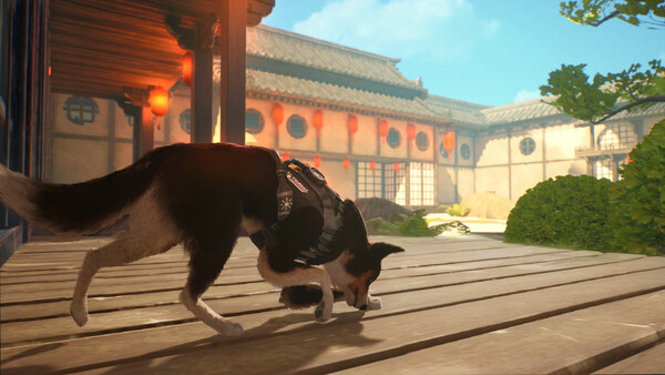 Barkour