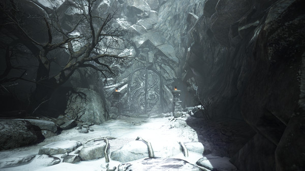 [NA/EU] Black Desert - Eternal Winter Edition