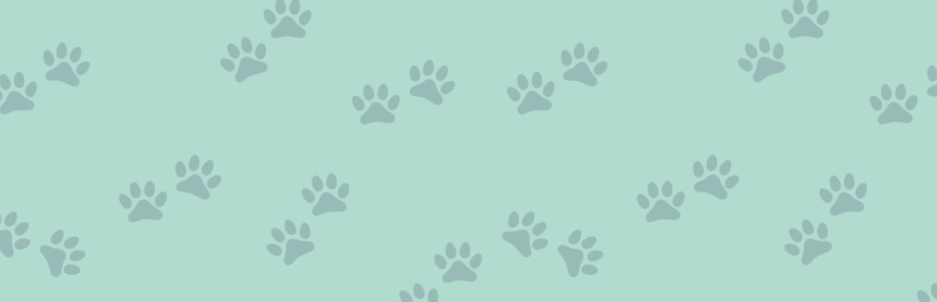 1001 Jigsaw. Cute Cats