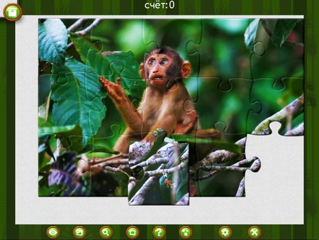 Screenshot z 1001 Jigsaw. Wild Animals