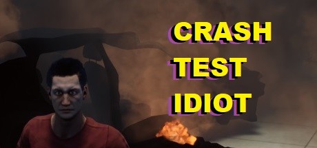 CRASH TEST IDIOT banner image