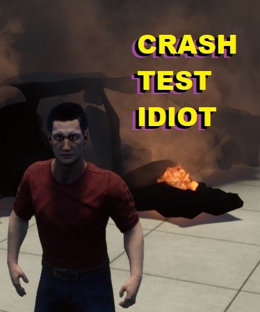 CRASH TEST IDIOT