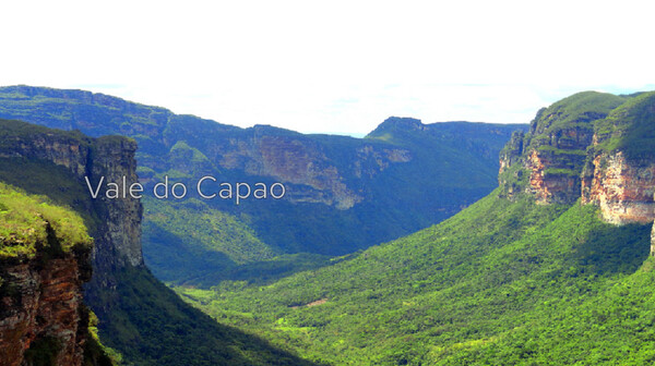 Seekers screenshot 3