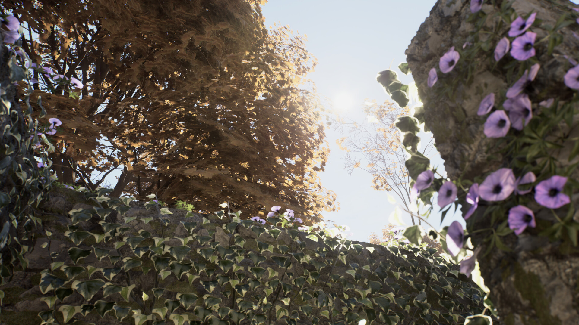 screenshot-15