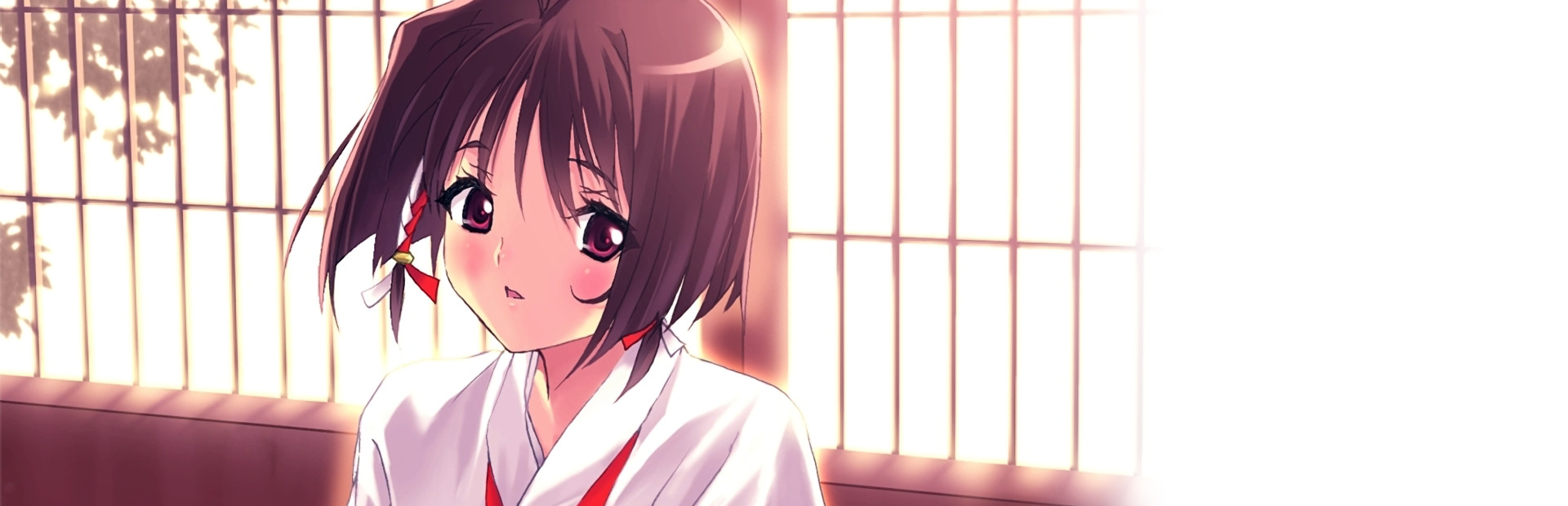 Miko no Kanata: Curious Tales from Oguni Shrine -Cycles-