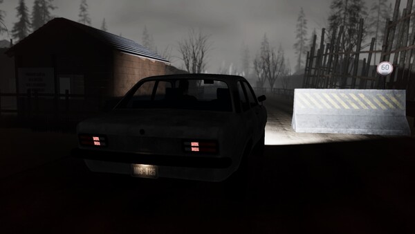 Crazyness: Weird Village screenshot 4