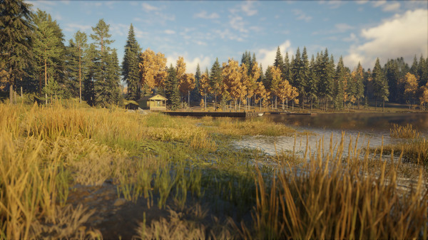 theHunter: Call of the Wild™ - Revontuli Coast — скриншот 12