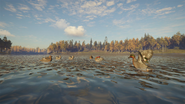 theHunter: Call of the Wild™ - Revontuli Coast — скриншот 11