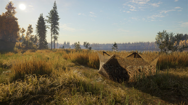 theHunter: Call of the Wild™ - Revontuli Coast screenshot 8
