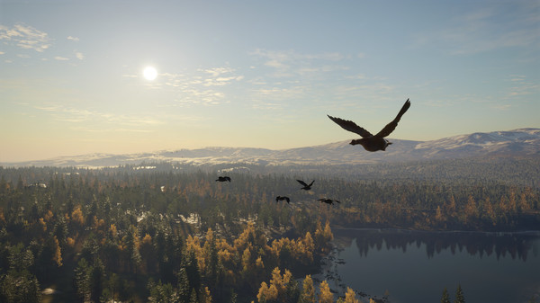 theHunter: Call of the Wild™ - Revontuli Coast screenshot 7