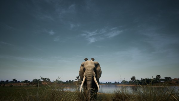 Animalia Survival EggHunt.