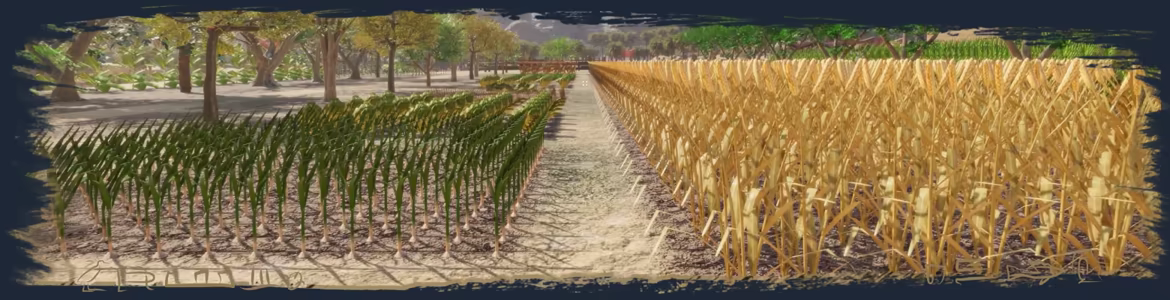 Ancient Farm video 3