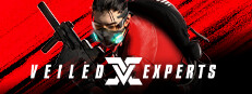 VEILED EXPERTS