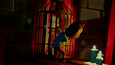 Screenshot #2
