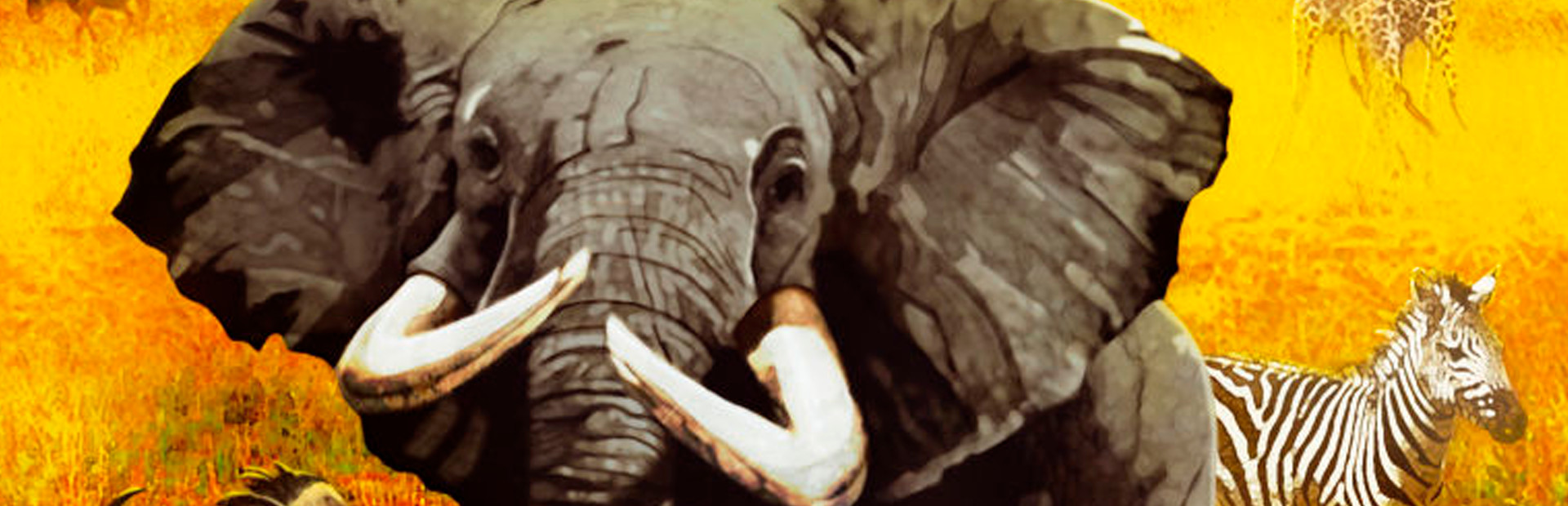 Wild Earth - Africa