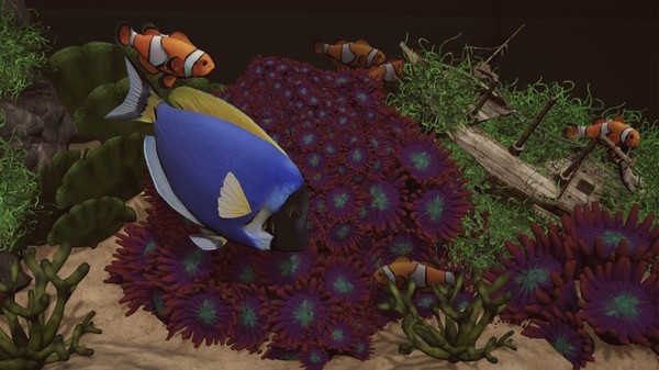 Aquarium Designer – Sea Life