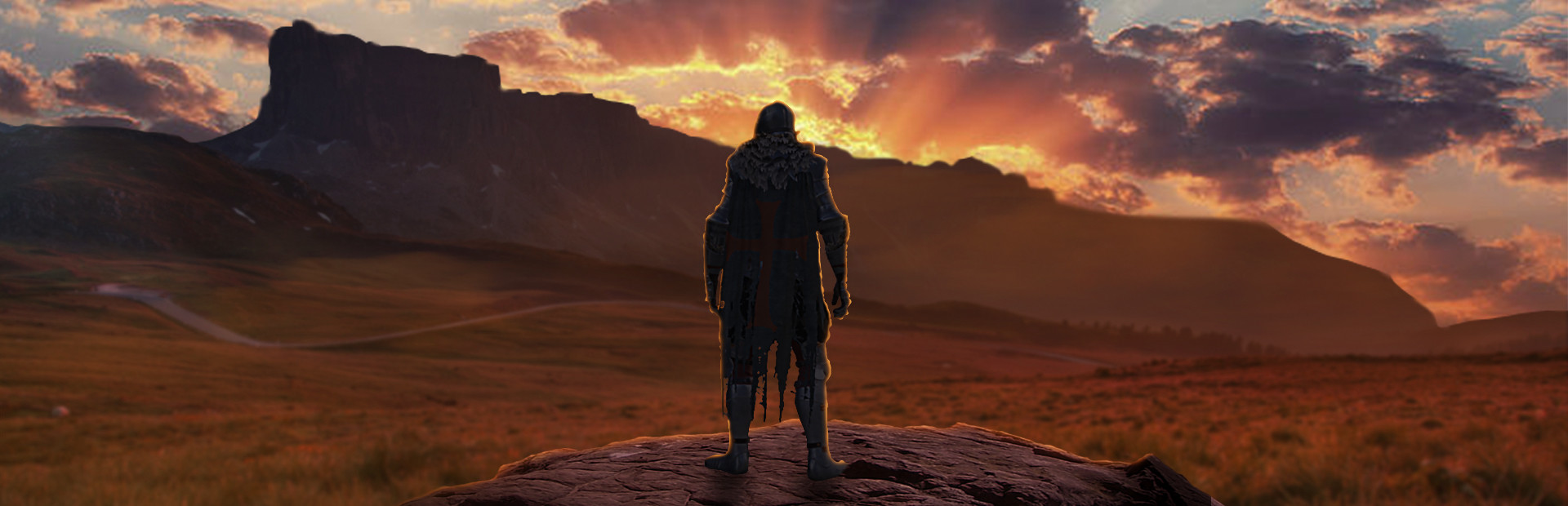 Lonely Knight