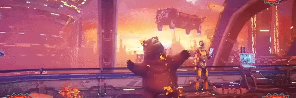Burrito Bear video 2