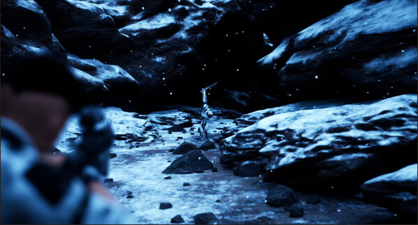 Thumbnail 15
