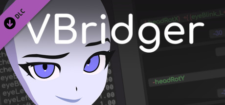 VBridger - Editor