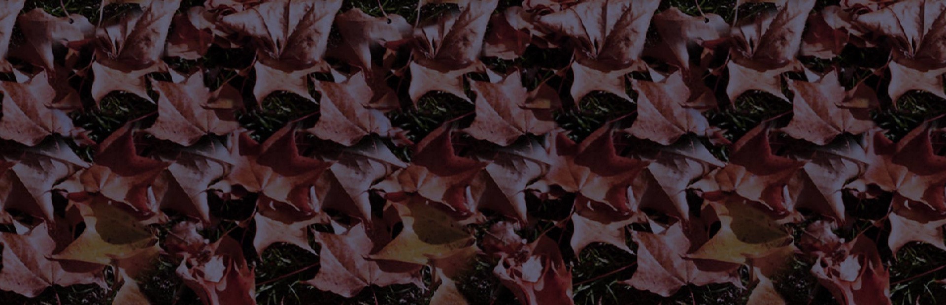 Holiday Jigsaw Halloween 3