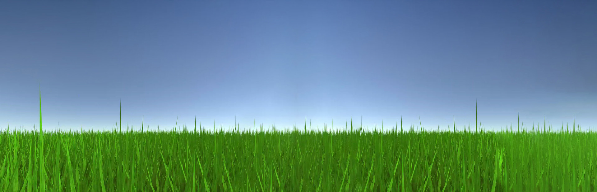 Touch Some Grass