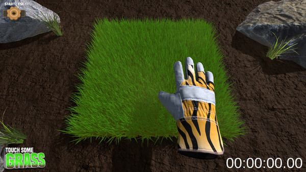Thumbnail 10
