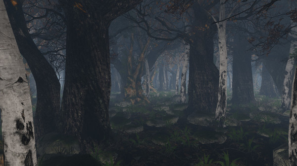Thumbnail 25