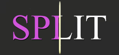 SPLIT cover image