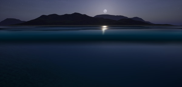 Screenshot z Researchity Open World Survival Game Screenshot z Researchity Open World Survival Game