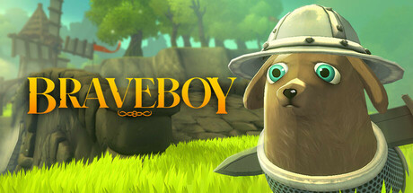 Braveboy banner