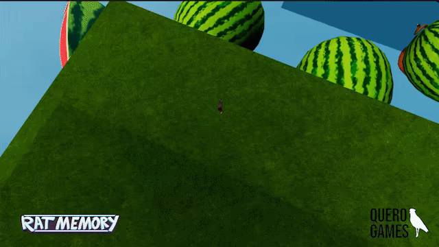 RAT MEMORY video 1