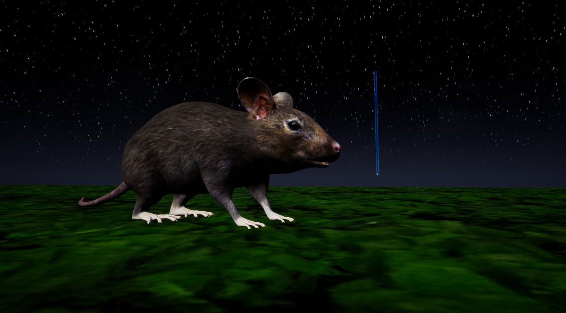 RAT MEMORY screenshot #9