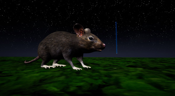 Rat Memory screenshot 9