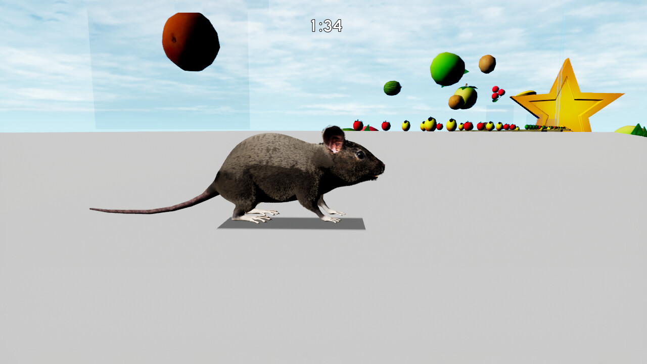 RAT MEMORY screenshot 6