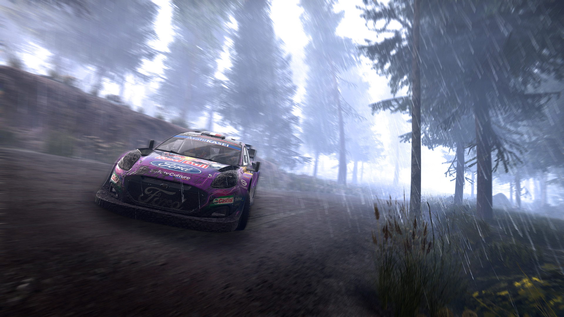 WRC Generations  The FIA WRC Official Game image 3