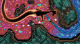 Screenshot #6