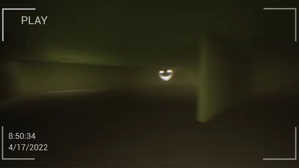 The Backrooms: Found Footage video 4