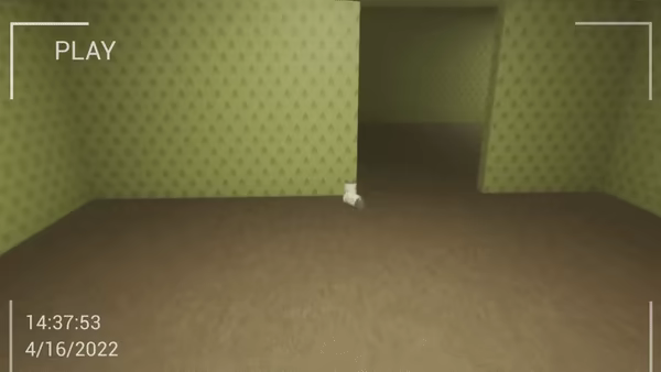 The Backrooms: Found Footage video 3