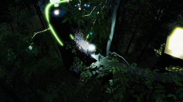 The Ball Flow - Nature and Light.