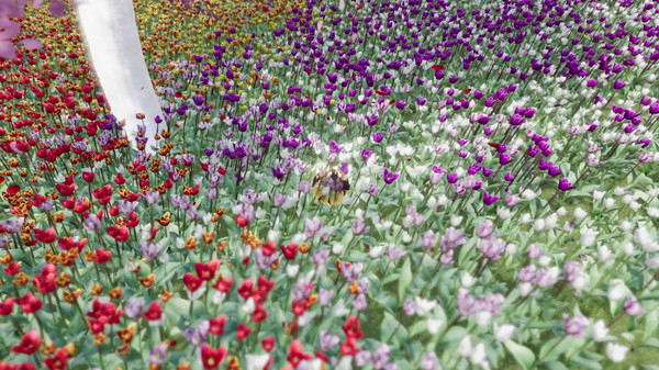 The Ball Flow - Nature and Light.