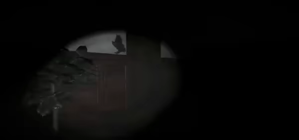 Is Simon There? video 4