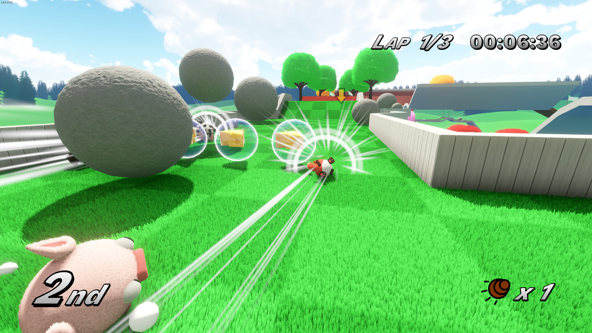 FurBalls Racing