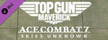 ACE COMBAT™7: SKIES UNKNOWN – TOP GUN: Maverick Aircraft Set-
