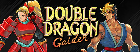 Double Dragon Gaiden: Rise Of The Dragons cover art