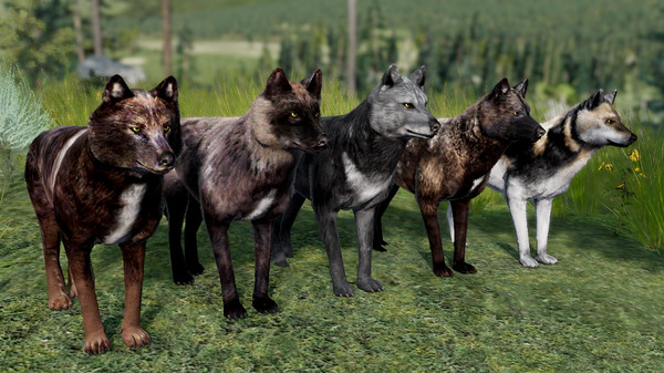 WolfQuest Anniversary - Building Character Pack