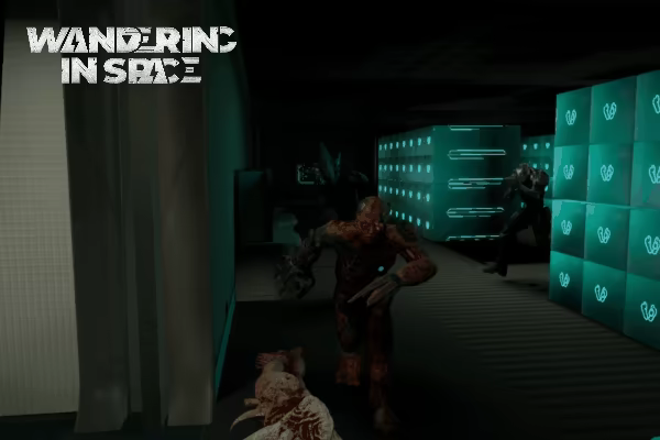 Wandering in Space VR video 11