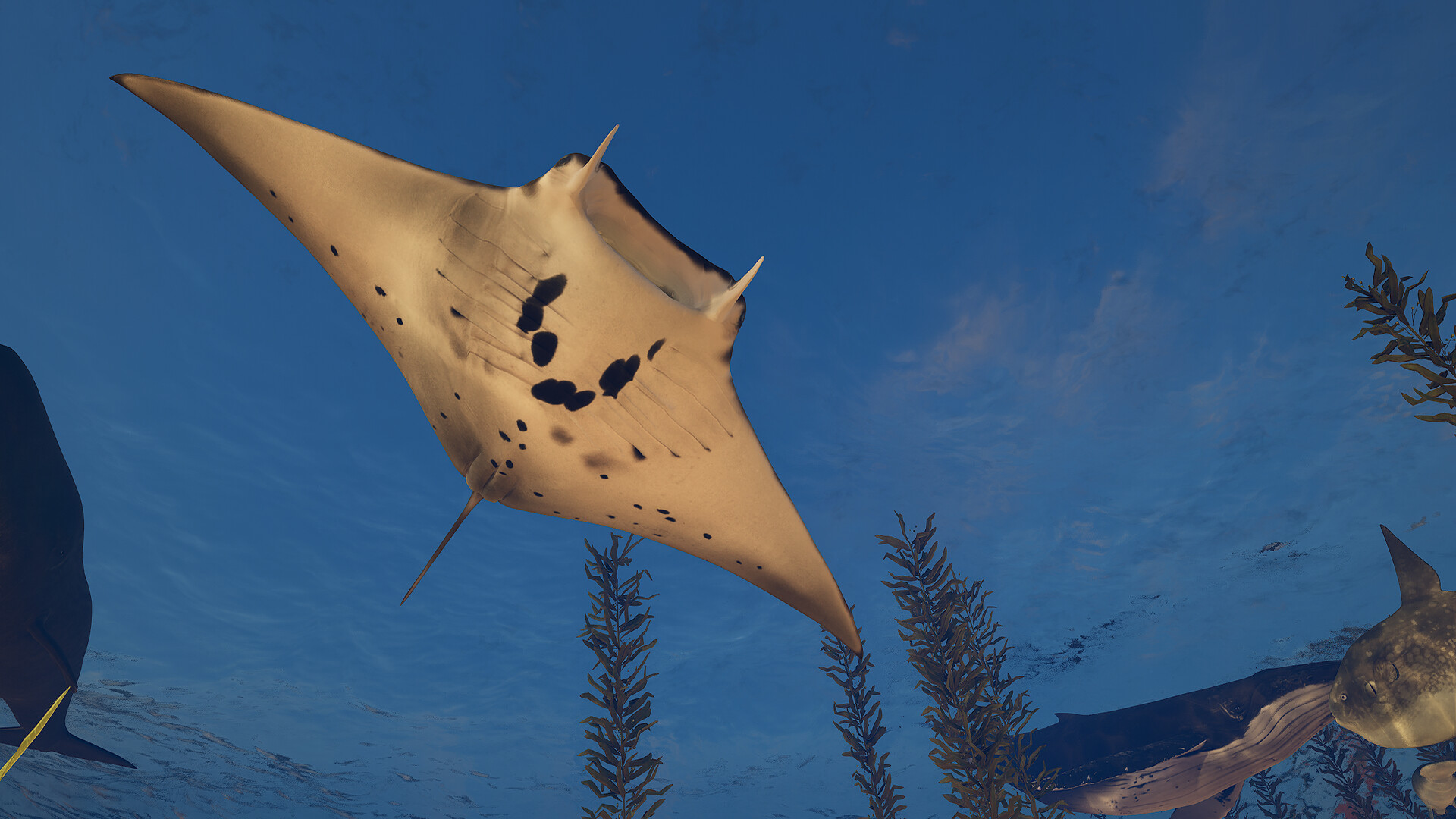 Eden Island screenshot #34