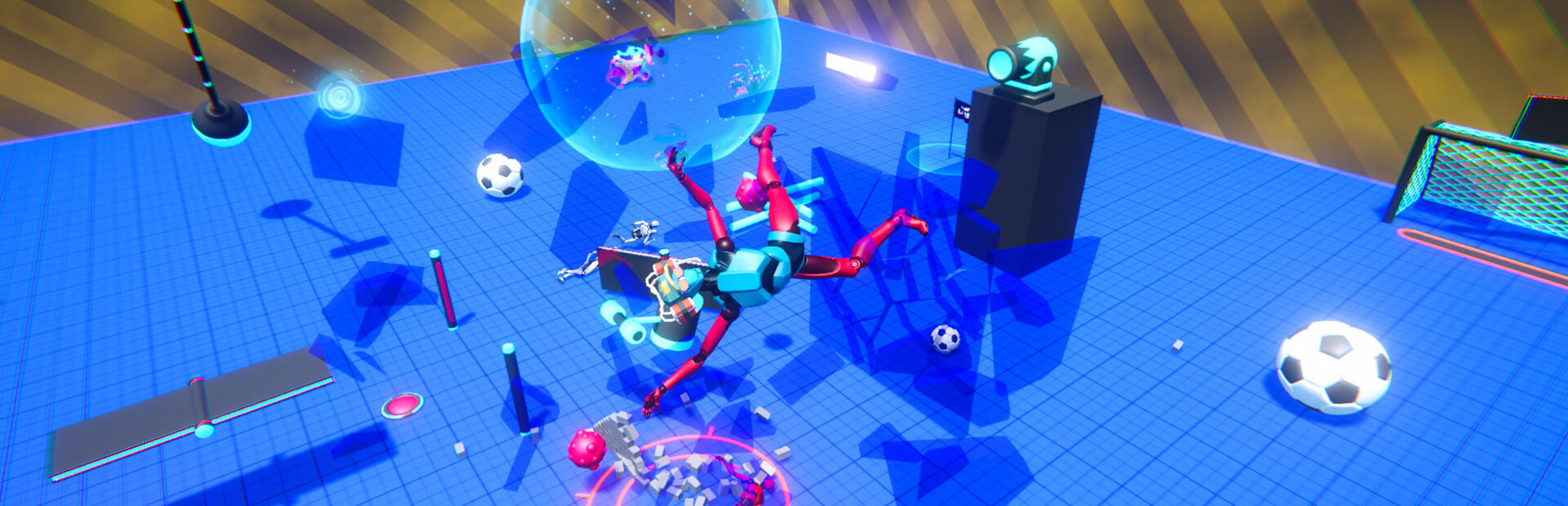 Ragdoll LABS